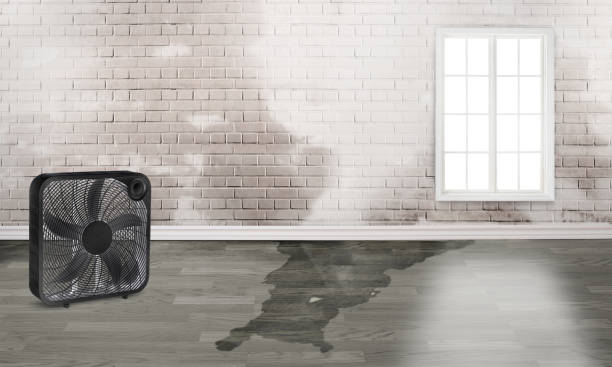 Best Residential water damage restoration  in Calais, ME