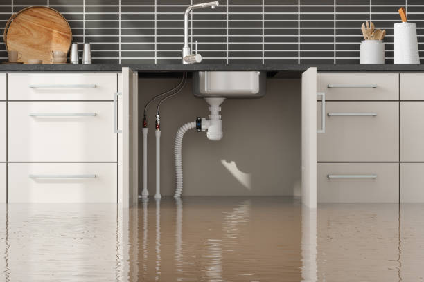 Best Flood damage cleanup  in Calais, ME