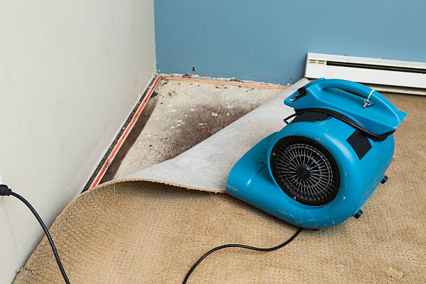 Best Emergency water damage restoration  in Calais, ME